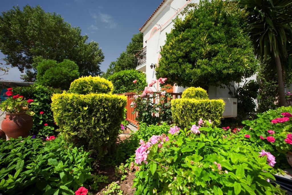 Castello Rosso Hotel Karystos  Exterior photo